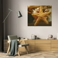 thumbnail image 3 of Philip Clayton-Thompson 24x20 Gallery Wrapped Canvas Wall Art Titled - Starfish I, 3 of 4