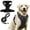 B, variant on Knee Brace Harness for Dogs, 360° Wrapping Stabilizes The Hind Leg Joints, Wagwize Dog Knee Brace, Adjustable Support Non-Slip Joint Braces for Back Leg, Protect The Dog's Hind Legs (XL)
