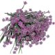 thumbnail image 1 of cht-artificial flowers 8 bundles 26-27s, 1 of 1