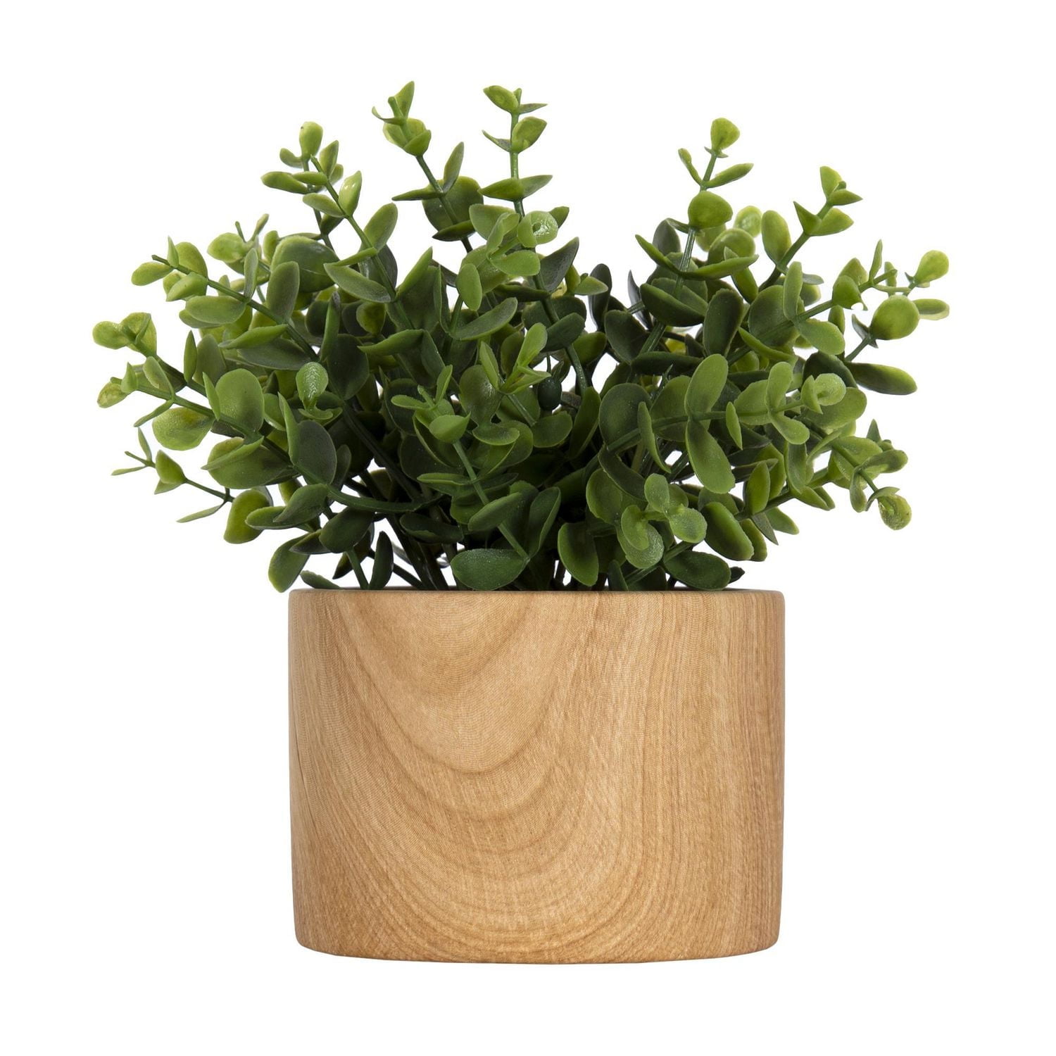 Fausse plante eucalyptus Jessie dans un pot brun