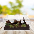 thumbnail image 4 of Reptile Feeding Box Breeding Box Lizard Gecko Snake Habitat Cage Transparent Acrylic Reptile Pet House, 4 of 5