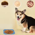 thumbnail image 3 of Interactive Slow Feeder Bowl for Dogs and Cats with Suction Cups Training Aid and Grooming Tool for, 3 of 4