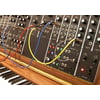 LAMINATED POSTER Synthesizer Moog Moog Modular Musical Instrument Poster Print 24 x 36