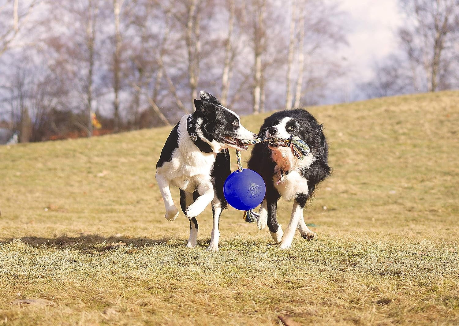 Jolly Pets Romp-n-Roll 8 inch Blue Rubber Ball with Rope for Dogs