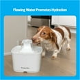 Premier Pet 60 oz. Pet Fountain Automatic water fountain for cats & small dogs, fresh, filtered