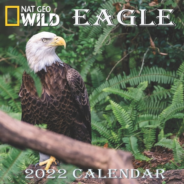Eagle Calendar 2022 EAGLE calendar 2022 "8.5x8.5" Inch