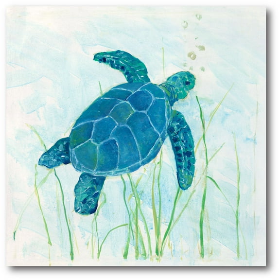 Courtside Market Reef Turtle I Gallery-Wrapped Canvas Wall Art, 16x16