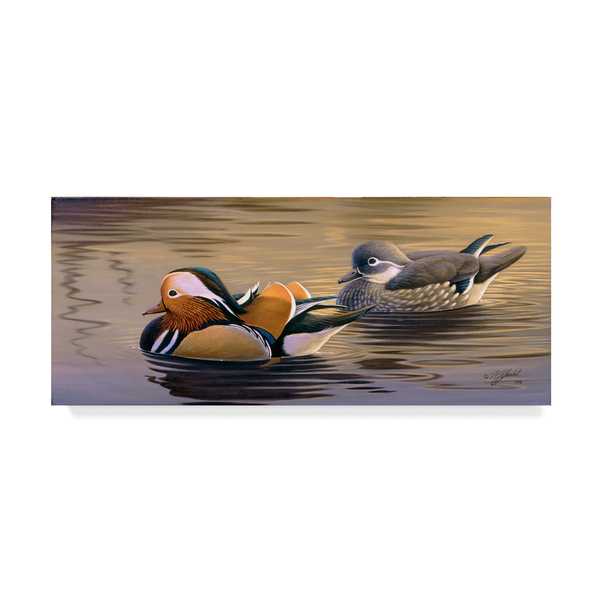 Trademark Fine Art 'Mandarin Ducks' Canvas Art by Wilhelm Goebel