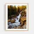 thumbnail image 2 of Alberta Falls - Colorado Photography Waterfall Nature Forest Landscape Scenic Autumn Wilderness Unframed Wall Art Print 16 x 20 inches, 2 of 13