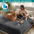 thumbnail image 6 of PetAmi Waterproof Dog Blanket For Medium Large Dogs, Pee Proof Pet Blanket for Couch Bed, Reversible Water Proof Blanket for Puppy Indoor Cat, Soft Dog Fleece Blankets Washable, 40x60 Gray, 6 of 8