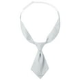 thumbnail image 1 of Corbatas cortas preatadas INSPIRE CHIC para mujeres, color sólido, corbata pequeña para uniforme escolar, gris plateado, talla única, 1 of 5