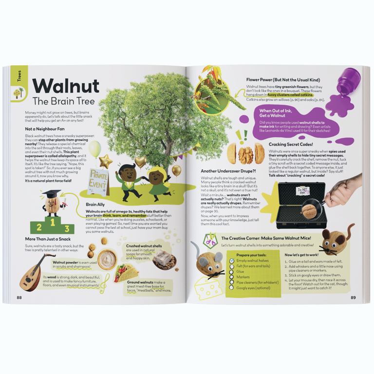 My First Plant Book [Book]