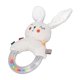 thumbnail image 3 of Baby Rattles Ring Toy Soft Plush Colorful Bright Color Rattle Newborn Sensory Toy Type C, 3 of 4