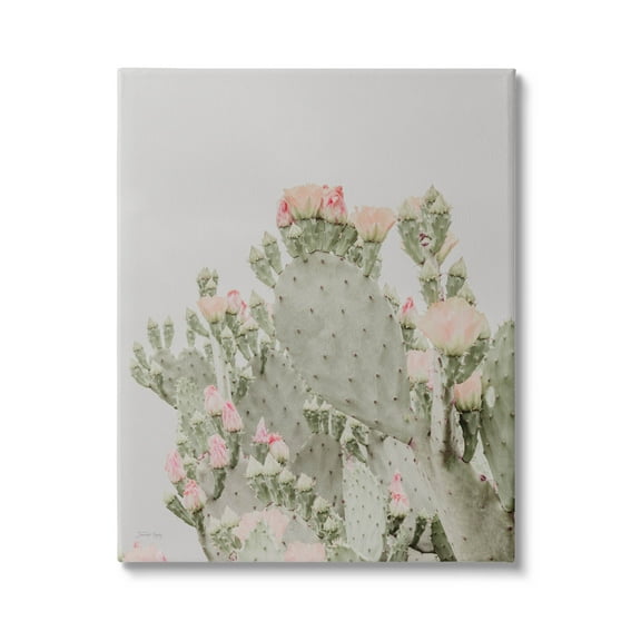 Stupell Industries Pink Cactus Blossoms Photograph Gallery Wrapped Canvas Print Wall Art, Design by Jennifer Rigsby