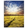 thumbnail image 2 of Tea Plantation under Cloudy Sky - Landscape Wall Art on Canvas, 2 of 3