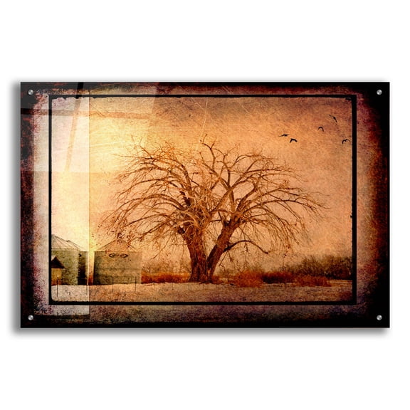 Epic Art 'For the Love of Trees IV' by Lightbox Journal, Acrylic Glass Wall Art, 36"x24"