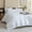 White, variant on Earthy Brown Comforter Queen Size, Neutral 3 Pieces Comforter Set, Lightweight Solid Bedding Set, All Seasons Soft Fluffy Queen Comforter Set (90x90In Comforter & 2 Pillowcases)