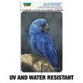 thumbnail image 2 of Hyacinth Macaw Parrot Home Business Office Sign, 2 of 7