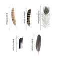 thumbnail image 3 of 50Pcs Natural Feathers – Mixed Peacock And Pheasant Feathers For Diy Crafts, Handmade Holiday Decorations, Wedding, Halloween, And Christmas, 3 of 6