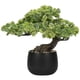 thumbnail image 1 of Árbol Bonsái Artificial Briful 25 cm Planta Falsa Verde, 1 of 6