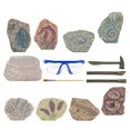 thumbnail image 1 of Kit de excavación de dinosaurios, kit de ciencia arqueológica, excavación de descubrimiento arqueológico Paleontología, 1 of 9
