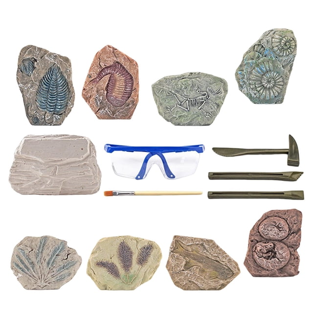 Kit de excavación de dinosaurios, kit de ciencia arqueológica, excavación de descubrimiento arqueológico Paleontología