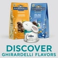 thumbnail image 3 of GHIRARDELLI Easter Milk Chocolate Candy Hollow Bunny, 3 oz, 3 of 14