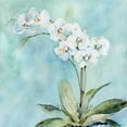 thumbnail image 3 of Robinson, Carol 12x12 Black Modern Framed Museum Art Print Titled - Sunlit Orchid, 3 of 5