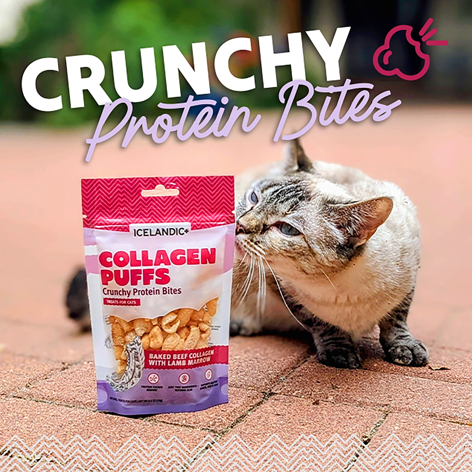 Icelandic+ Collagen Puffs: Baked Beef with Lamb Marrow - .5oz Bag, Small Cat Treats, Crunchy Protein Bites, 2 Ingredient Pet Treats, Natural Snacks