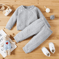 thumbnail image 3 of IBTOM CASTLE Unisex Baby Girls Boys Cotton Twist Knit Sweater Long Sleeve T-Shirt Tops + Long Pants 2PCS Outfit Fall Winter Warm Clothes 12-18 Months Gray, 3 of 8