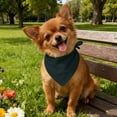 thumbnail image 5 of PremiumPetTowelScarf for Cats and Dogs Towel Design with Versatile Triangular Bib Style for Indoor Outdoor Use, 5 of 5