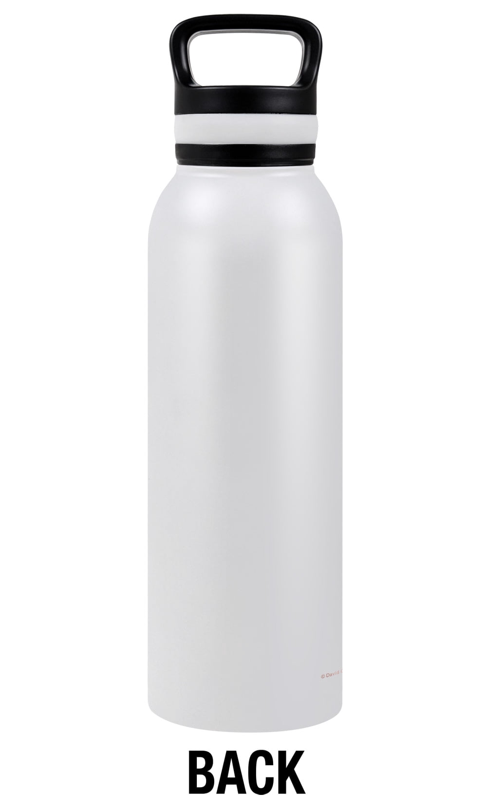 bCreative - David Olenick Official Body English 24 oz Insulated Canteen Water Bottle, Leak Resistant, Vacuum Insulated Stainless Steel with Loop Cap