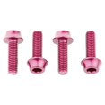 thumbnail image 4 of Wolf Tooth Precision Anodized Water Bottle Cage Bolts - 4 Pcs. Black, 4 of 11