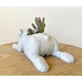 thumbnail image 6 of Doggy Planter English Bulldog Planter Gift Idea, Bar Decor, Table Decor, Plant Gift Idea, Cute Succulent Planter, any canine/dog/English Bulldog and plant lover! Twinkling Black, 6 of 9