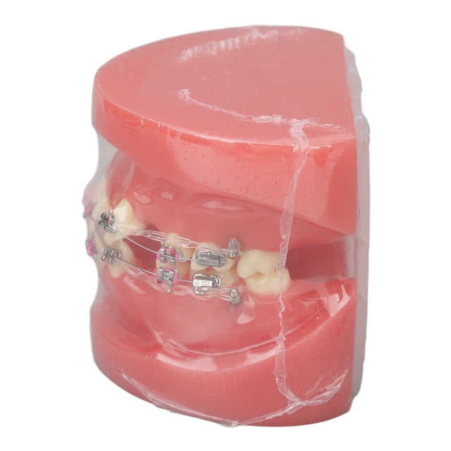 Modelo Dental de Ortodoncia NikouMX Resina