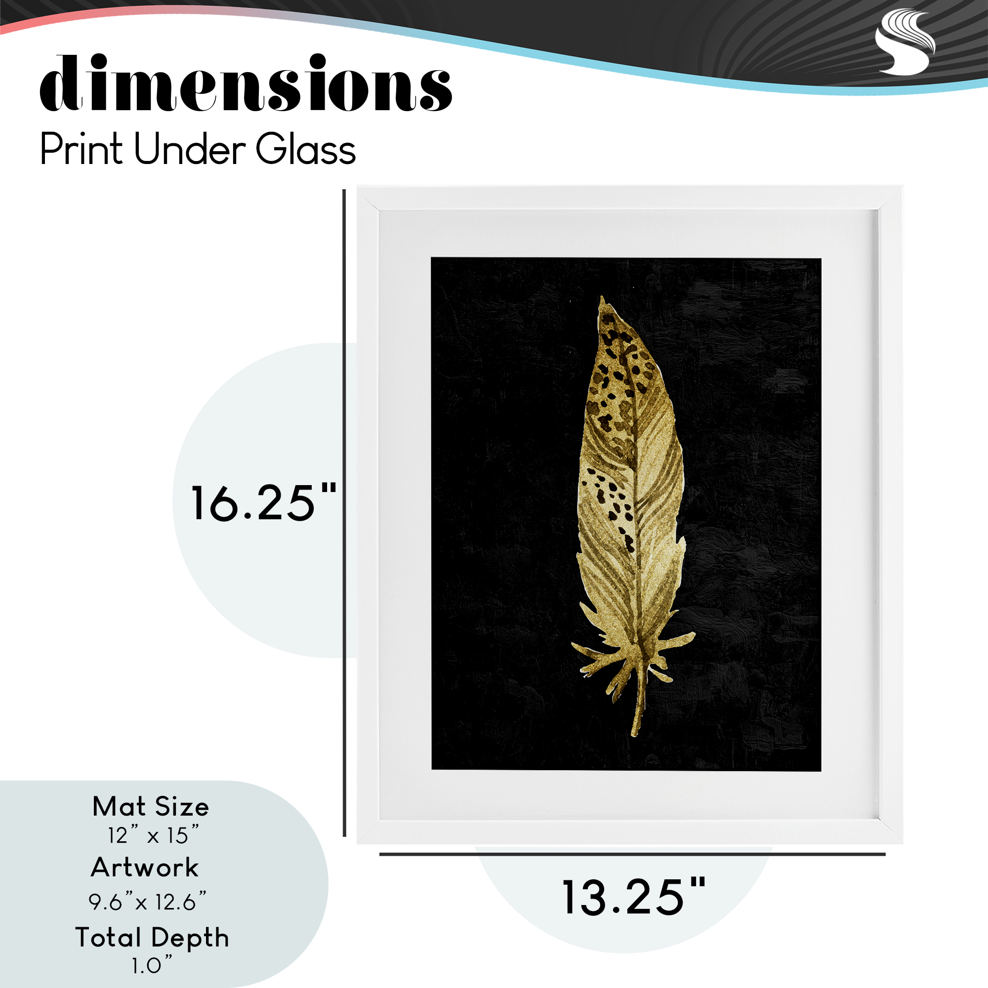 Speckled Feather on Black White Framed Print Under Glass, design by Kim Allen