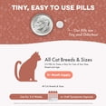 thumbnail image 6 of BestLife4Pets Mange Supplement for Cats - Natural Ear Mite Solution - Helps with Cat Skin Irritation and Dandruff, 6 of 15