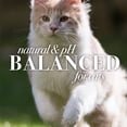 thumbnail image 5 of Burt's Bees Cat Dander Reducing Spray 10 fl oz, 5 of 5