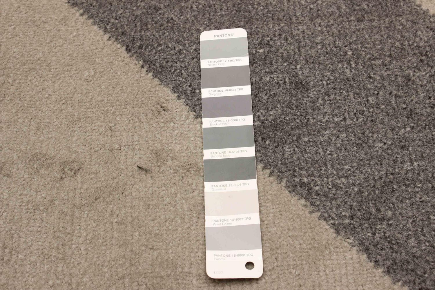 ECARPET Bianca Contemporary/Modern Area Rug for living room, bedroom, dining room, entrance, hallway and more.