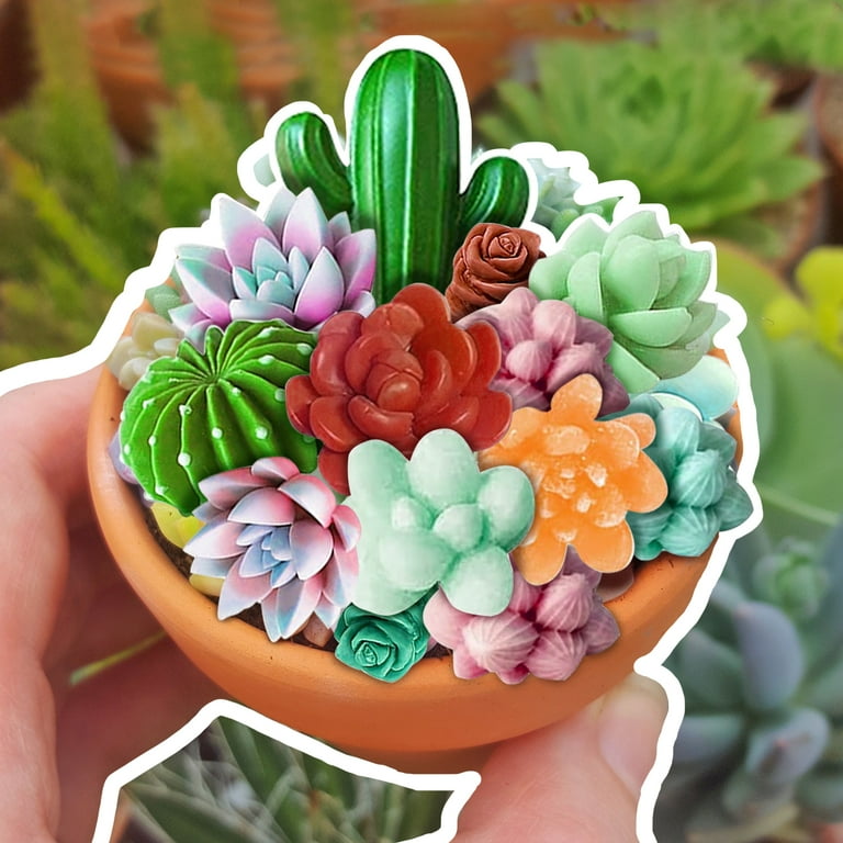 Pcapzz 9Pcs Succulent Molding Silicone Mold 3D Succulent Cactus Candle Molds  Succulent Resin Mold Safe Cactus Flower Resin Casting Mold for Scented  Candles Soaps Making Cake Decor - Walmart.com