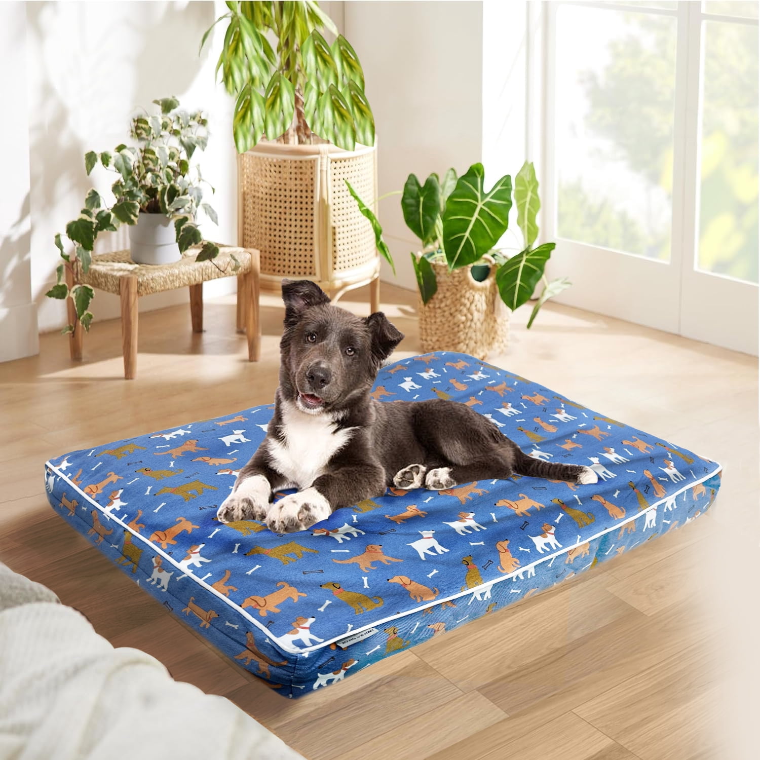 Paws and Décor Orthopedic Dog Bed, Enhanced Joint Support with Outlined Dog Design, Durable High-Density Foam Mattress for Comfort For Dogs.