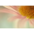 thumbnail image 3 of Stalus, Judy 14x11 Black Modern Framed Museum Art Print Titled - Whisper, 3 of 5