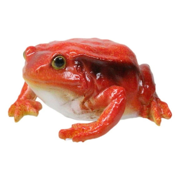 Amphibian Wild Creatures Realistic Northern Red Legged Frog Decorative Figurine