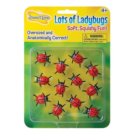 UPC: 0735569048506 | Insect Lore™Lots Of Ladybugs Science Manipulative for Students