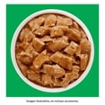 thumbnail image 4 of Alimento para Perro Purina Dog Chow Adulto Sabor Pollo 100 g, 4 of 4
