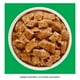 thumbnail image 4 of Alimento para Perro Purina Dog Chow Adulto Sabor Pollo 100 g, 4 of 4