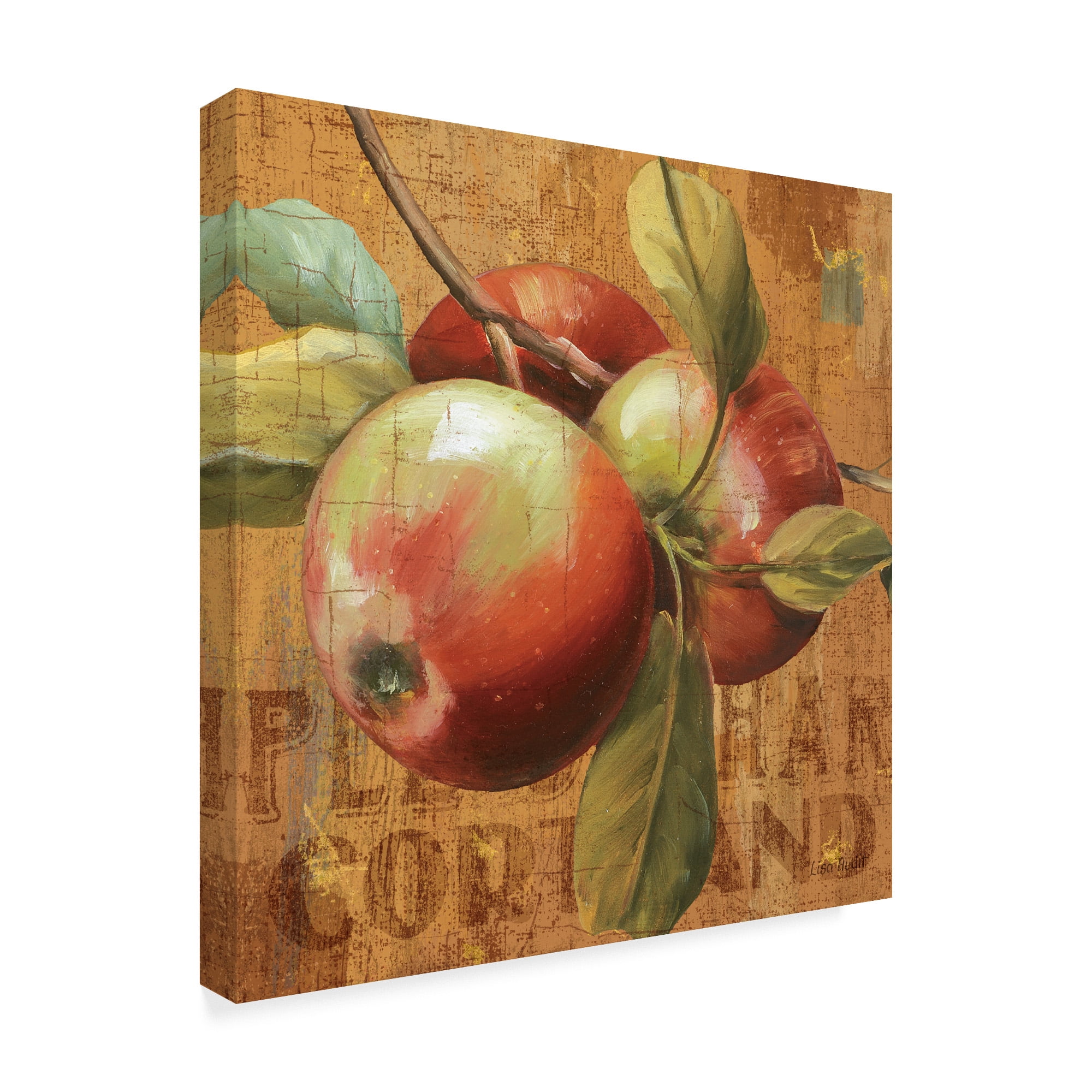 Trademark Fine Art 'Apple Season I' Canvas Art by Lisa Audit