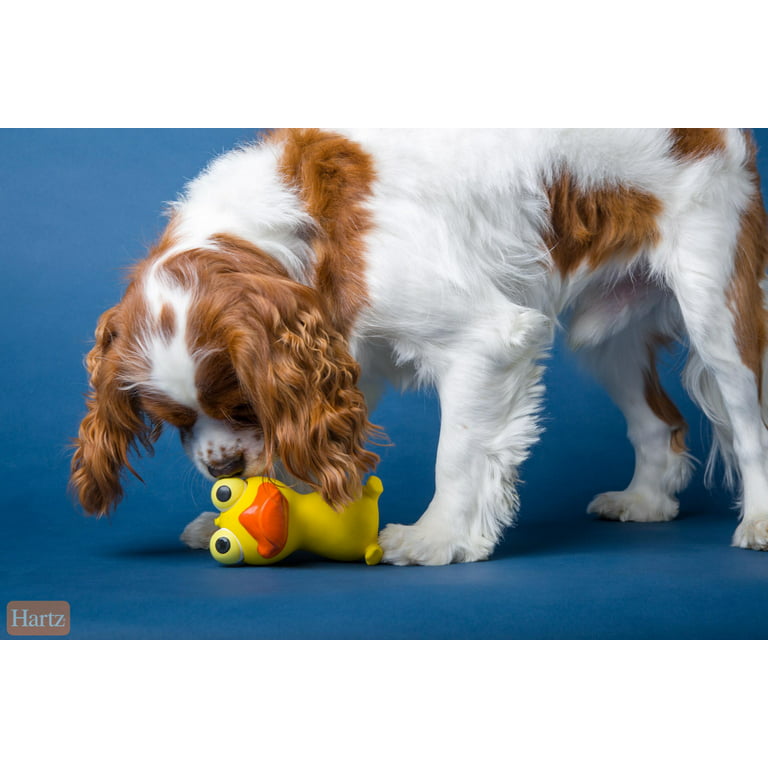 Top Paw® Squeaker Puppy Dog Toy (CHARACTER VARIES)
