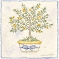 thumbnail image 3 of Pallan, Nancy S. 20x20 Black Modern Framed Museum Art Print Titled - French Topiary I, 3 of 5