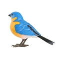 thumbnail image 1 of Riforla Robot Bird Singing and Chirping Bird Toy Simulate The Chirping of Birds Battery Operated Realistic Singing Chirping Birds for Home Decoration Light & Voice Control (Without Battry) Sky Blue, 1 of 3